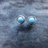 Naušnice -pecky,nerez,larimar