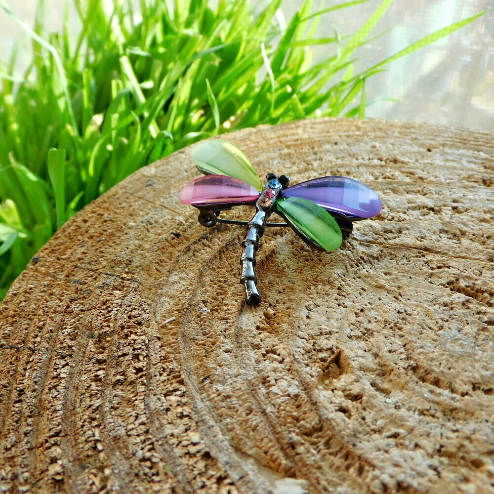 Brož - menší vážka 