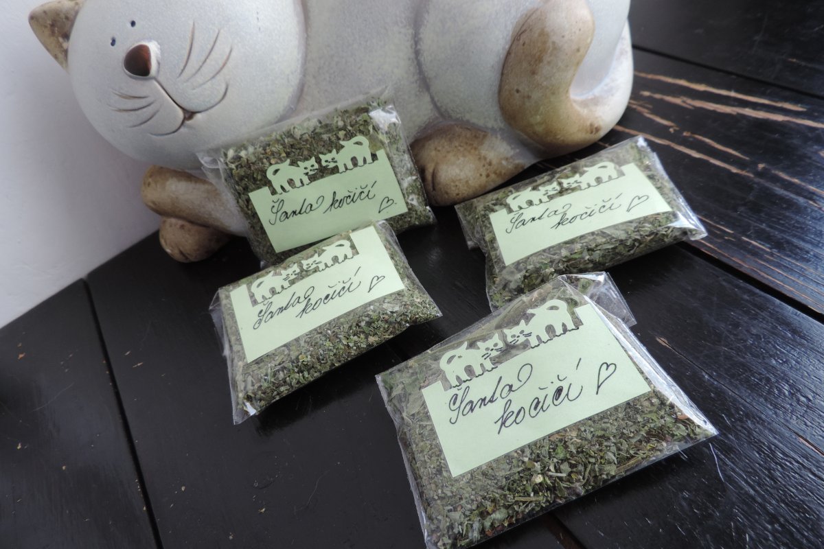 CATNIP - ŠANTA PRO KOČKY I KOCOURKY