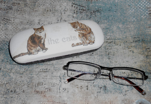 Pouzdro na brýle - kočičky
