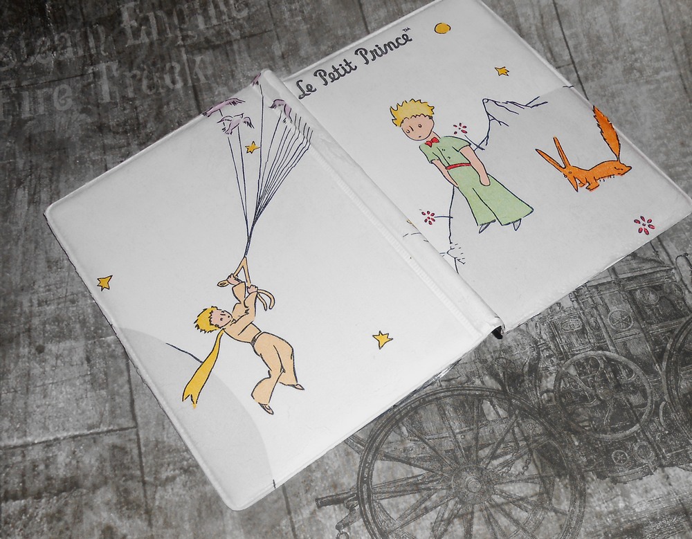 Dokladovka Malý princ