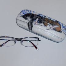 Pouzdro na brýle - kočičky