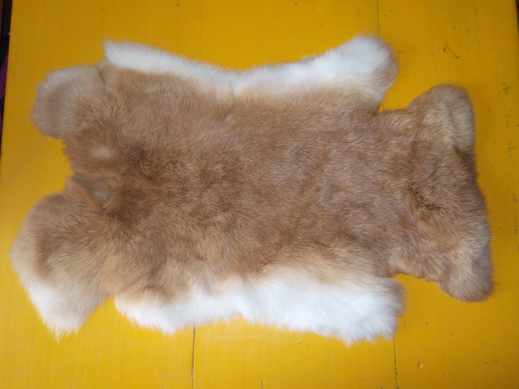 Králičí kožešina 6.