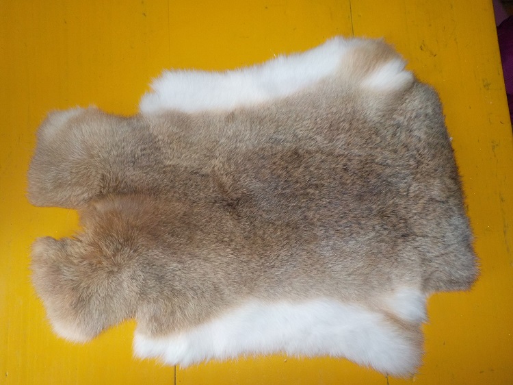 Králičí kožešina 24.