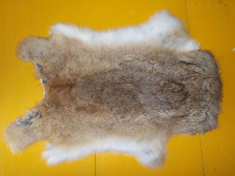 Králičí kožešina č.-34