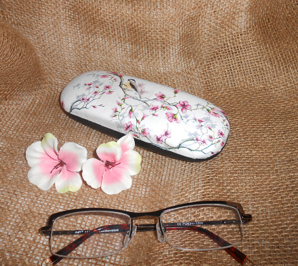 Pouzdro na brýle - ptáček