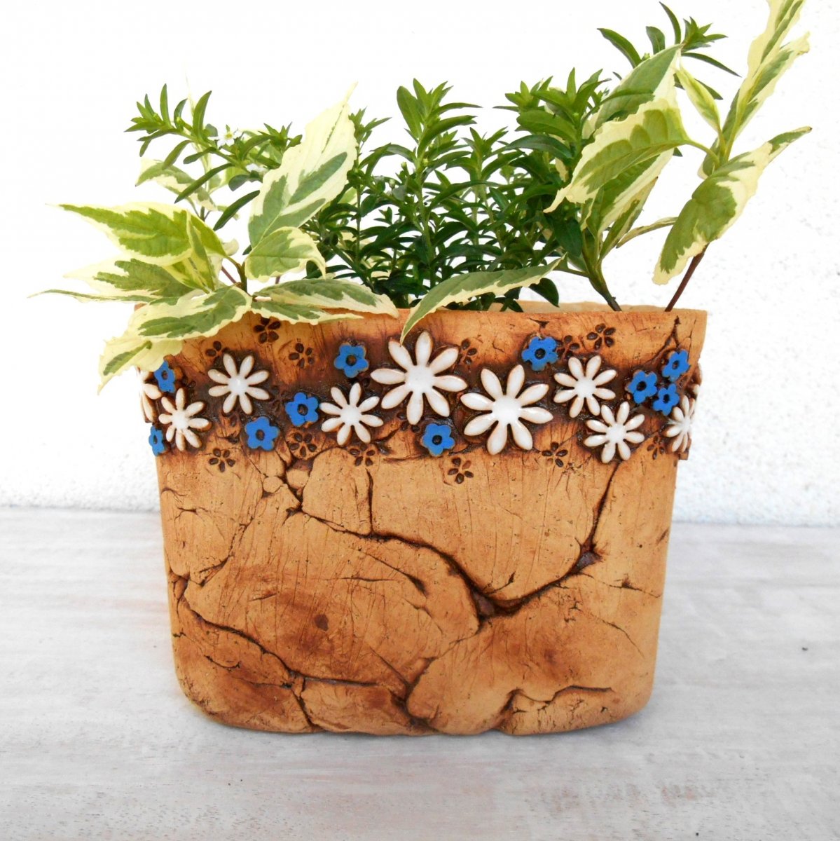 Hranatý květník - kopretiny a pomněnky