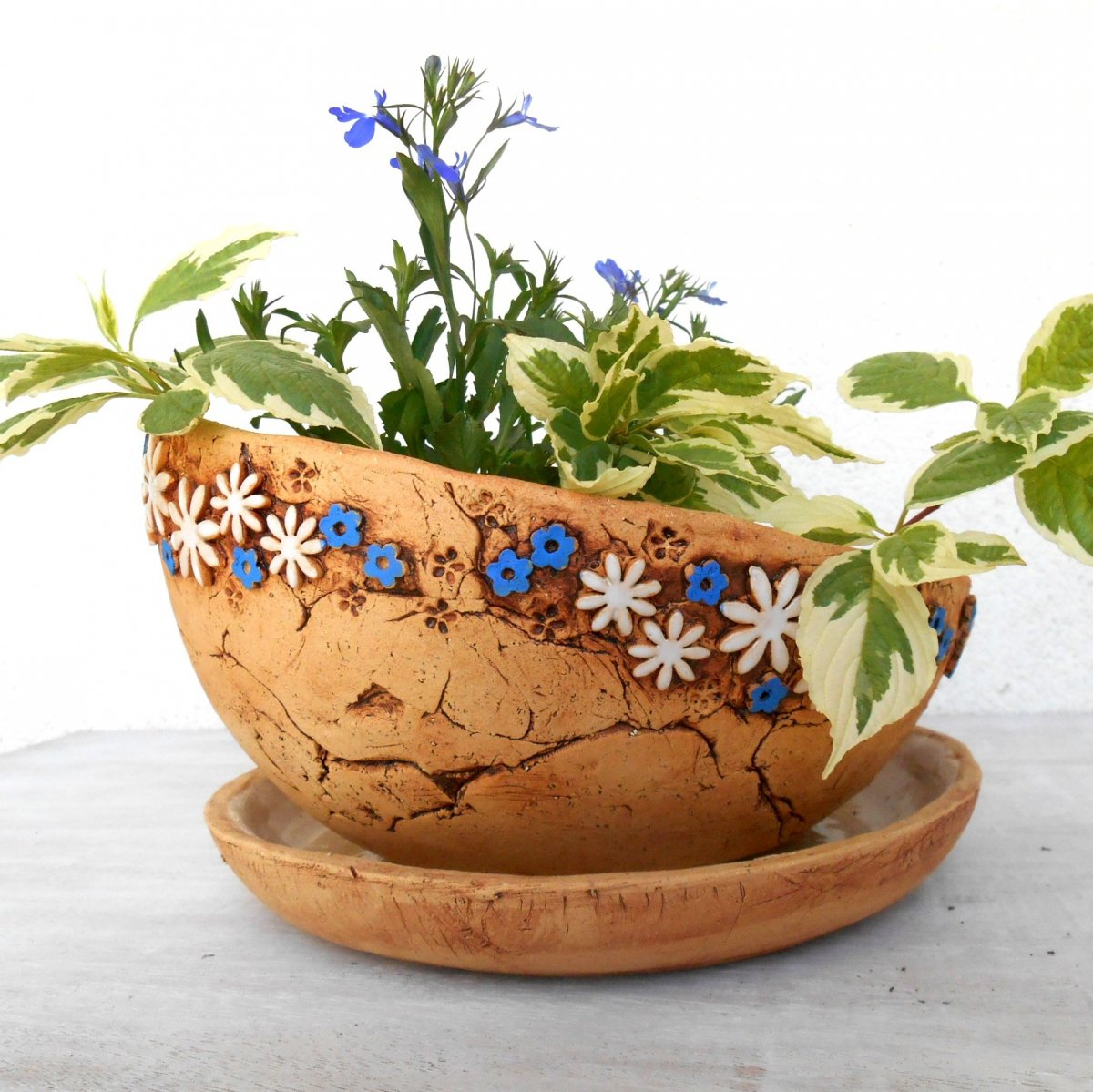 Šikmý květník - kopretiny a pomněnky