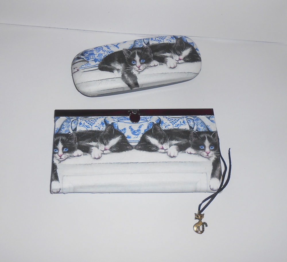 Kočičí sada (peněženka + pouzdro na brýle)
