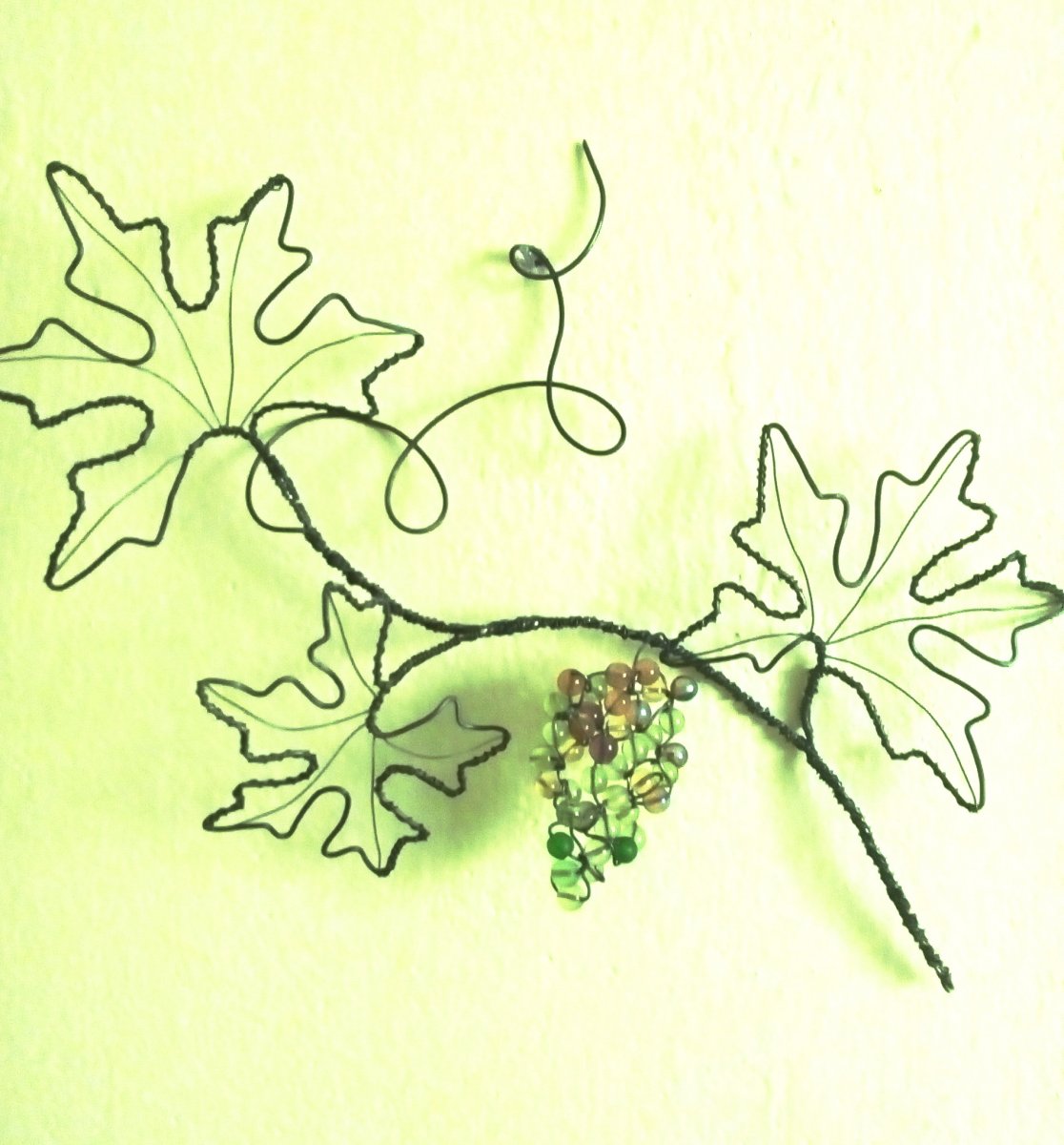 Hroznové víno - zrající 