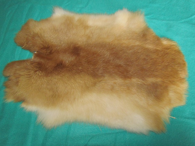 Králičí kožešina 14.