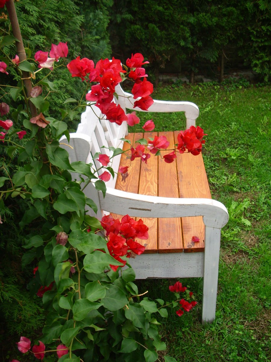 Zahradní Lavice" zámecká"