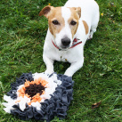 IHNED: HRAČKA pro pejsky - Čmuchací kobereček MALÝ