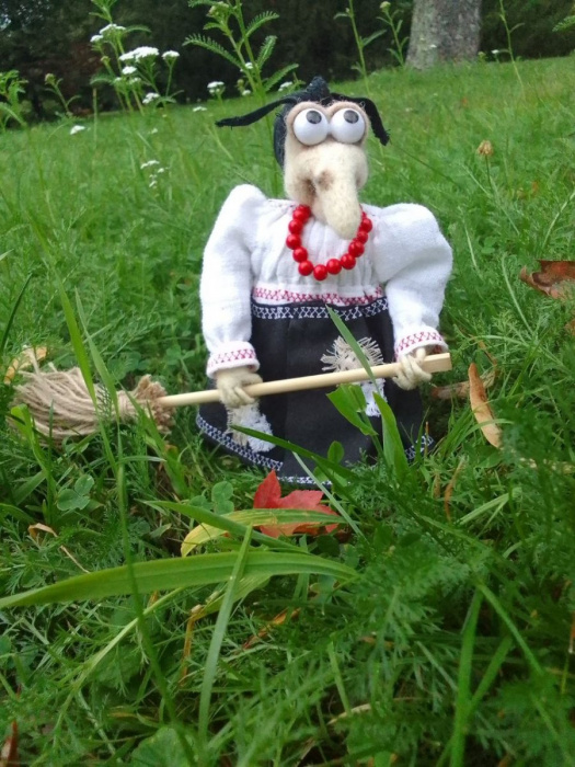 Liška z vlny