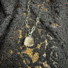 SAGENIT choker