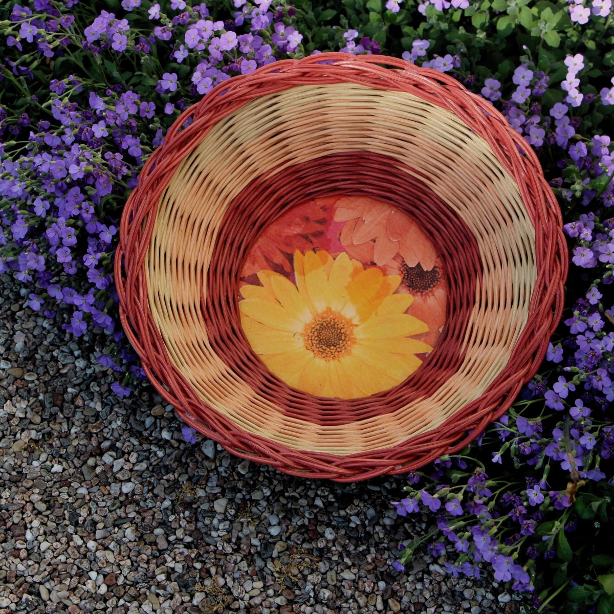 Sluníčková - ošatka