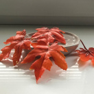 Vonné dekorativní  listy