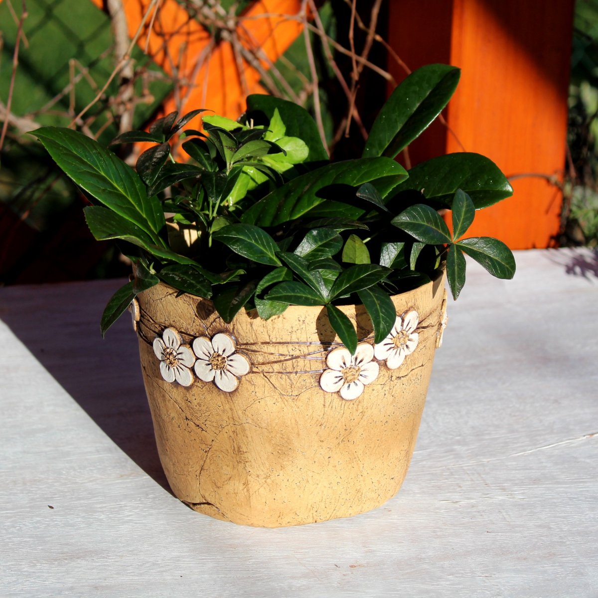 Květník s bílými kytičkami