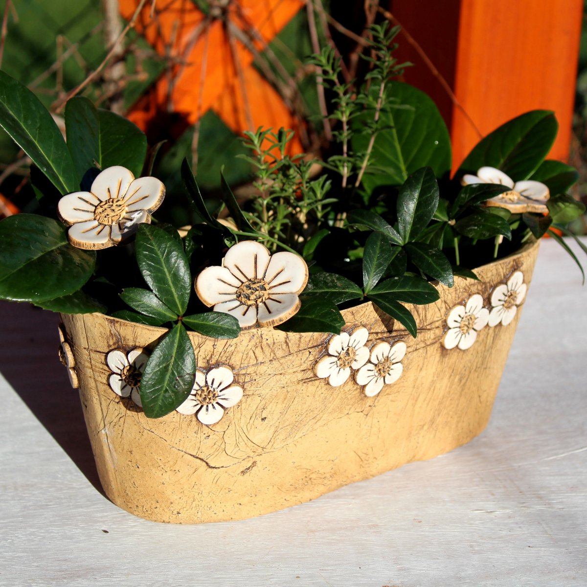 Truhlík - bílé kytičky