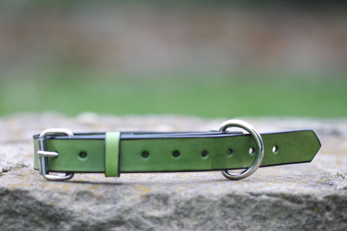 Kožený obojek pro psy zelený