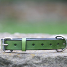 Kožený obojek pro psy zelený