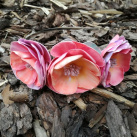 květinová čelenka