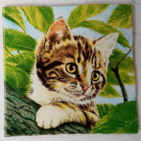 Obrázek 16 x 16 cm - 002 - Kočka