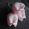 Šité tulipány růžové
