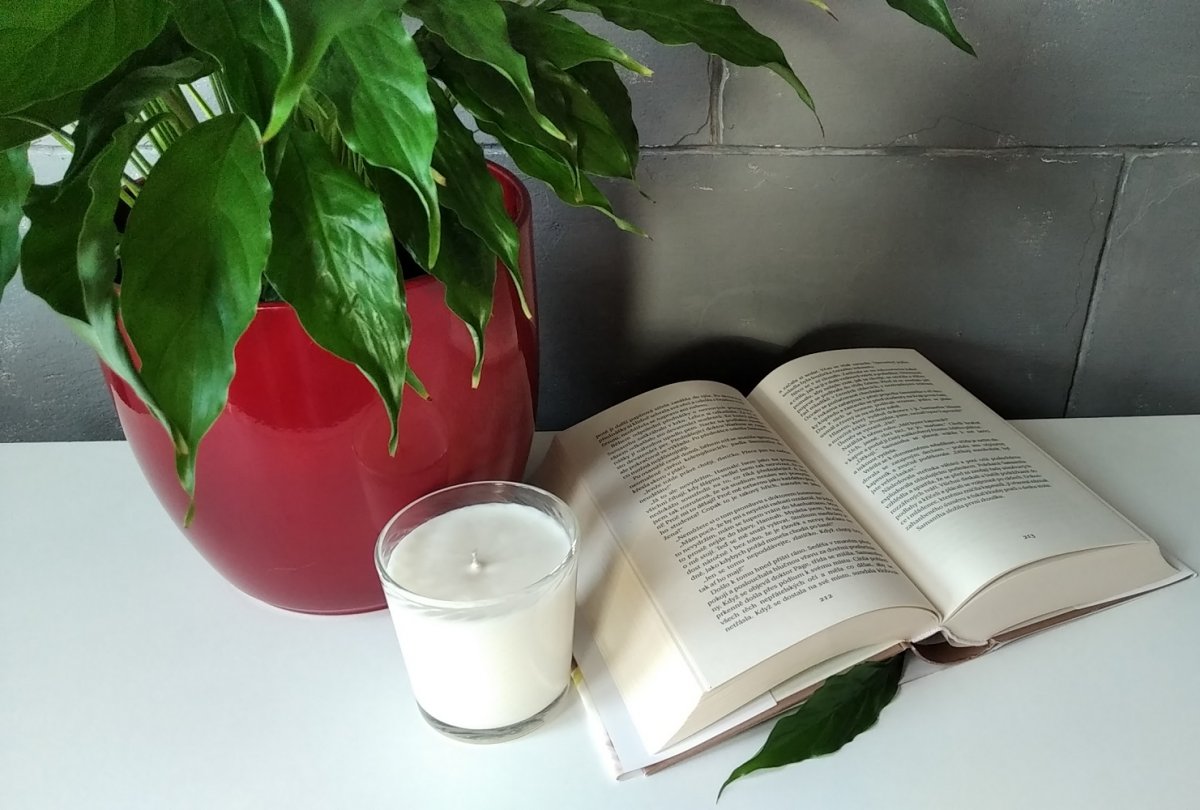 Sójová svíčka 230ml - herbal 