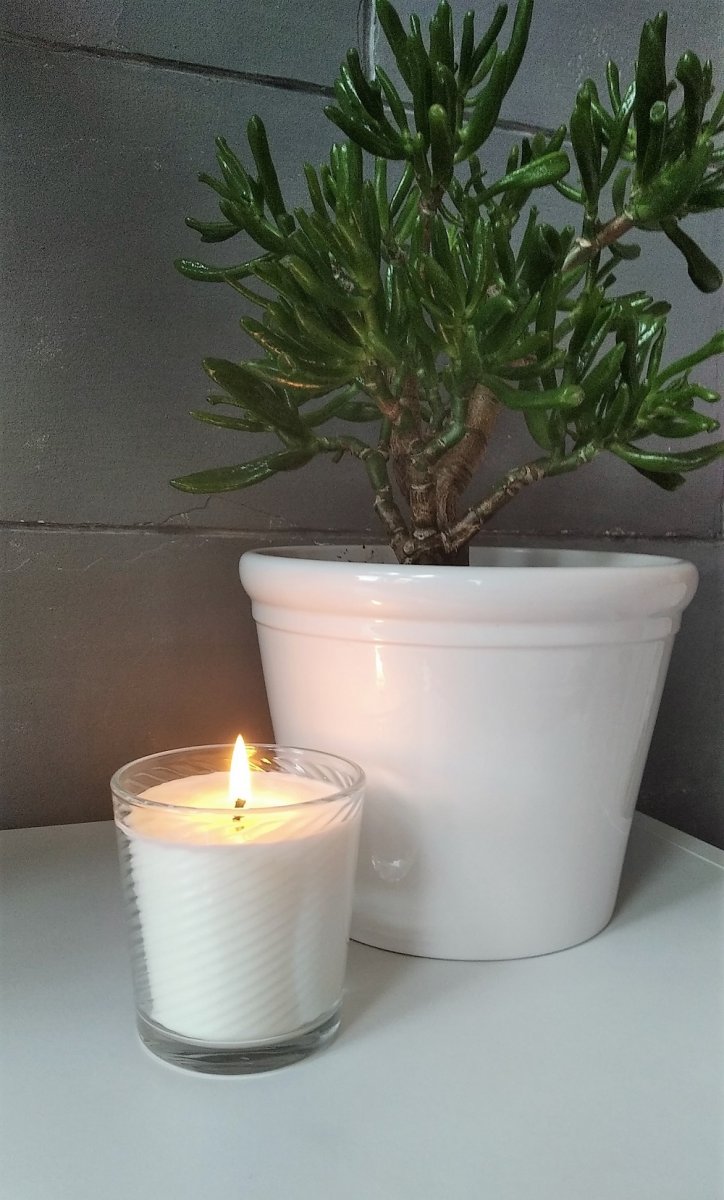 Sójová svíčka 230ml - pomeranč a eukalyptus 