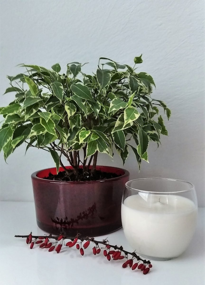 Sójová svíčka 250ml - orientální, květinová