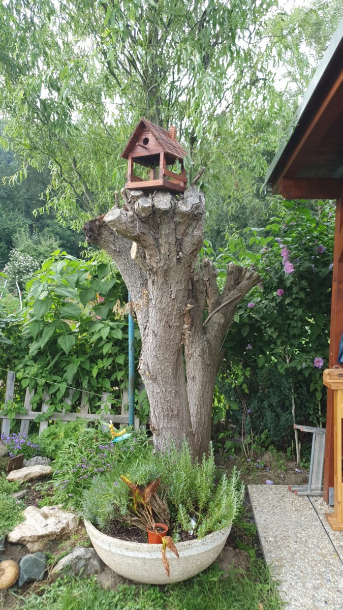 Dřevěné ptačí krmítko 