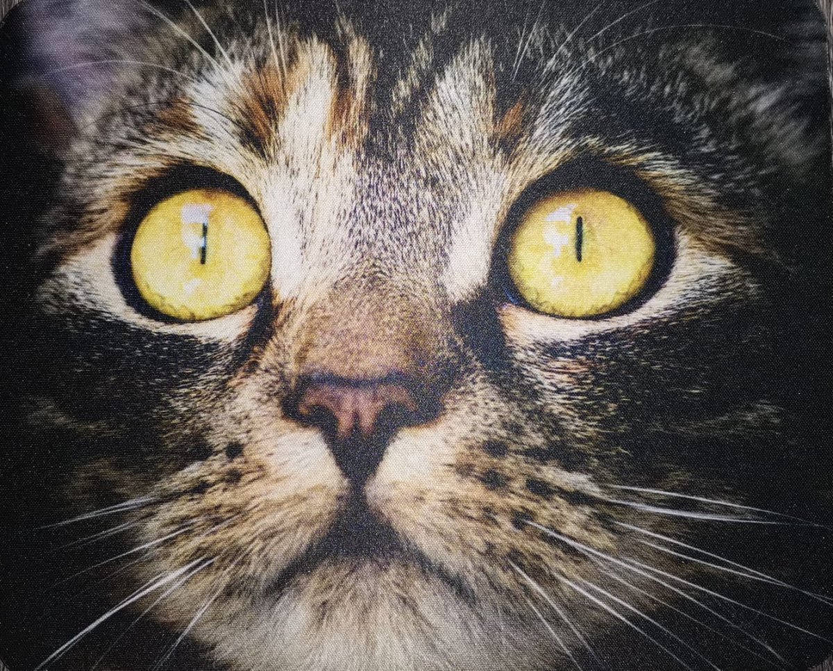 Podložka pod myš s potiskem, kočka mourovaná 