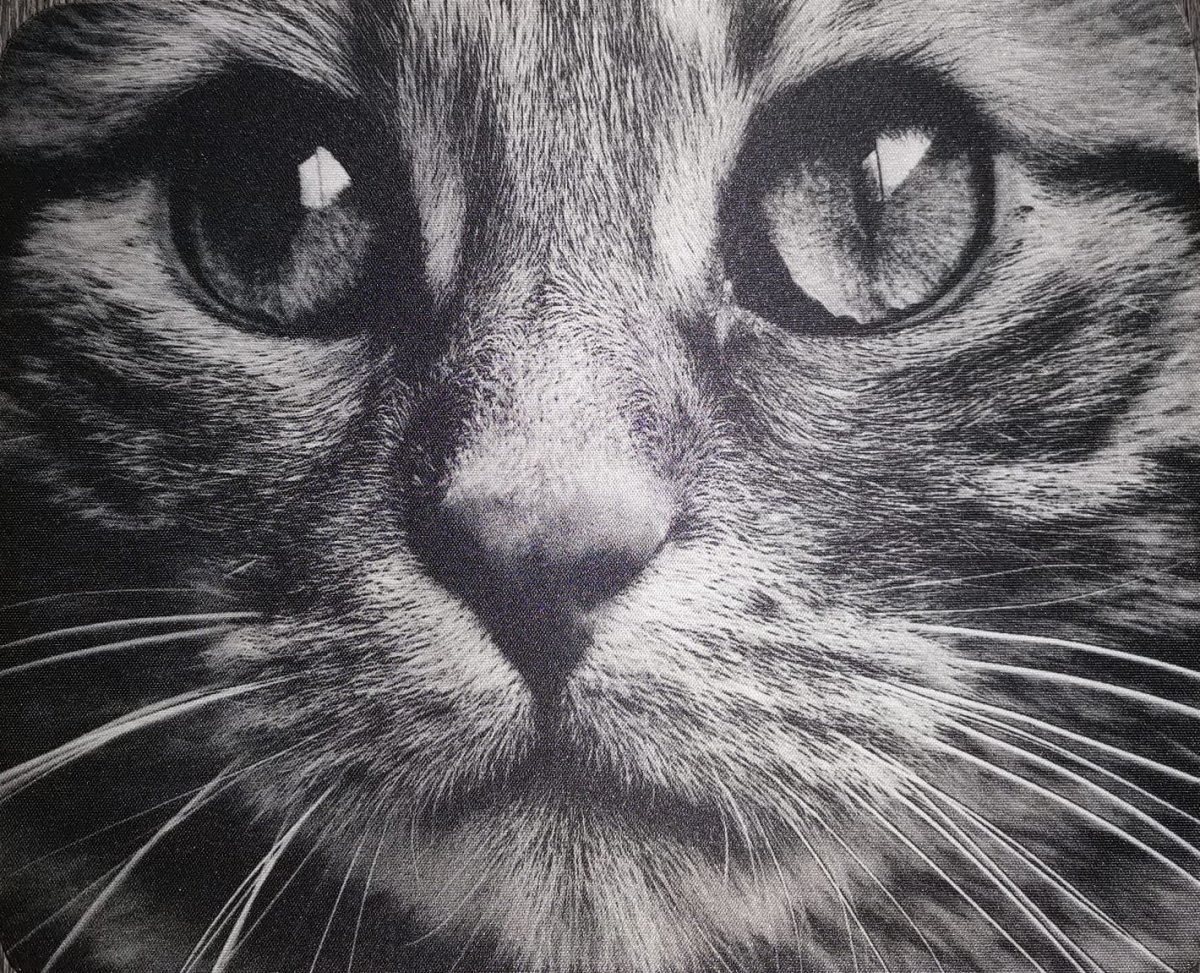 Podložka pod myš s potiskem, kočka černo bílá 