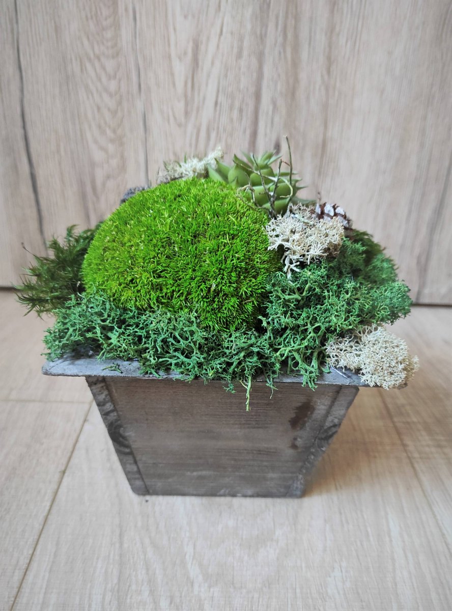 Mechová dekorace v dřevěném květináči