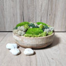 Mechová dekorace v mangové míse