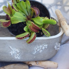 Betonová miska 3 D motiv "Dřevěný úchyt"