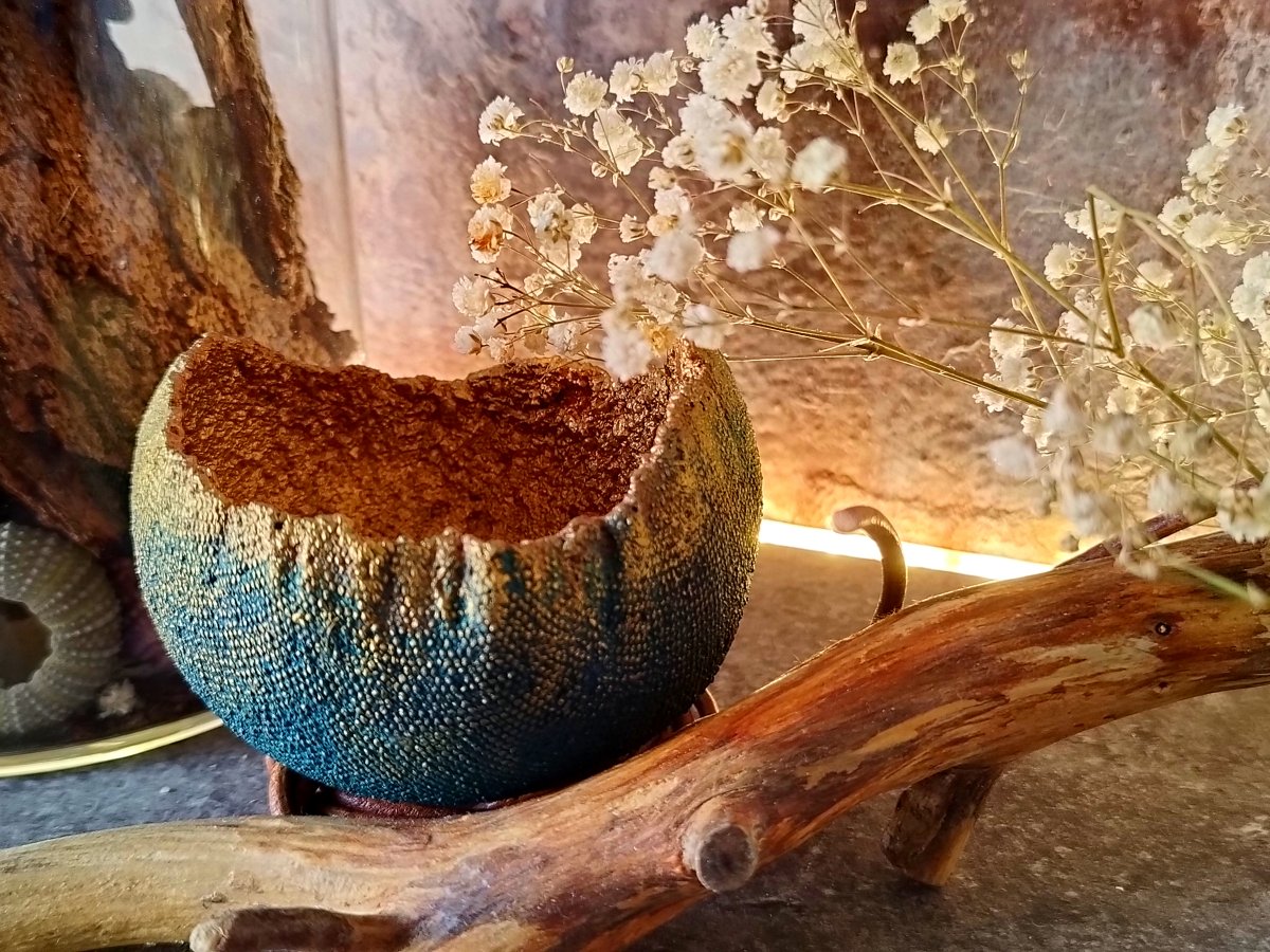 Beton-svícen-skořepina " Petrolej+zlatá "