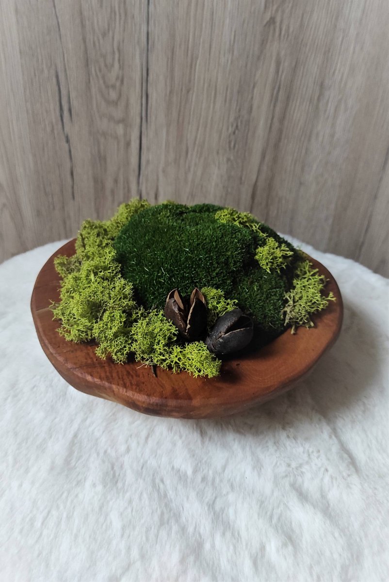 Mechová dekorace v teakové misce