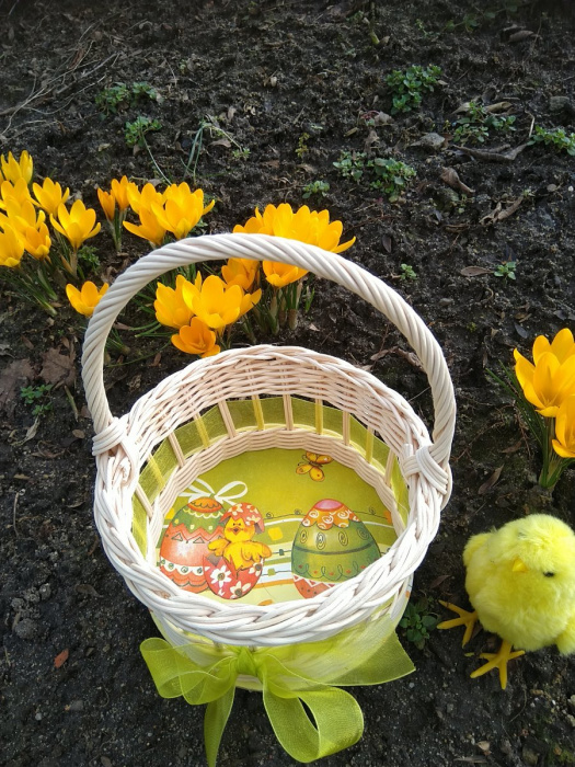 Košíček na 10 vajíček - jedno kuřátko 