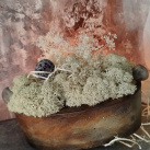 Mechová dekorace v betonu "Hnědá+bílá"