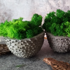 Betonová nádobka s mechem
