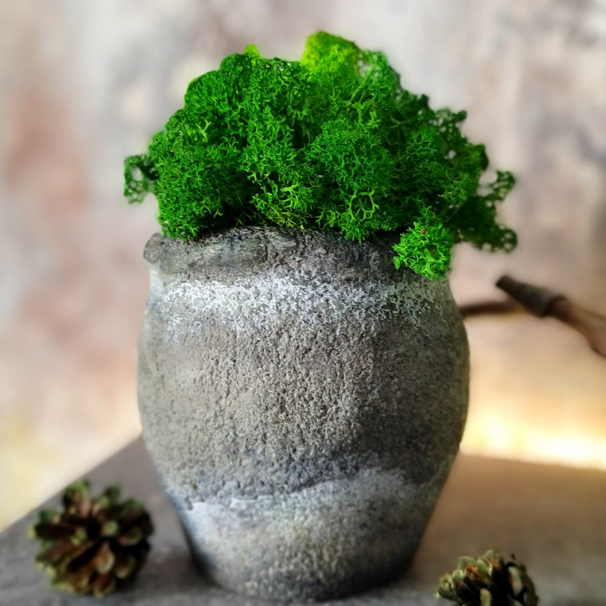 Beton-květináček "Baculáček rustikal s mechem"