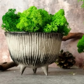 Betonový cupcake "Přírodní+ombré+zelený mech"