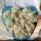 Beton-srdce-miska "Mentol+sobí mech"