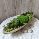 Mechová dekorace v teakové míse 2