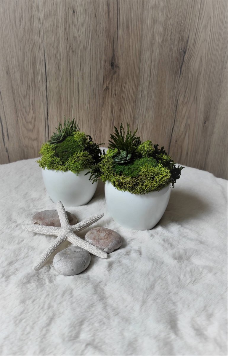  Mechový květináček