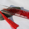 Crocodile Red Feather