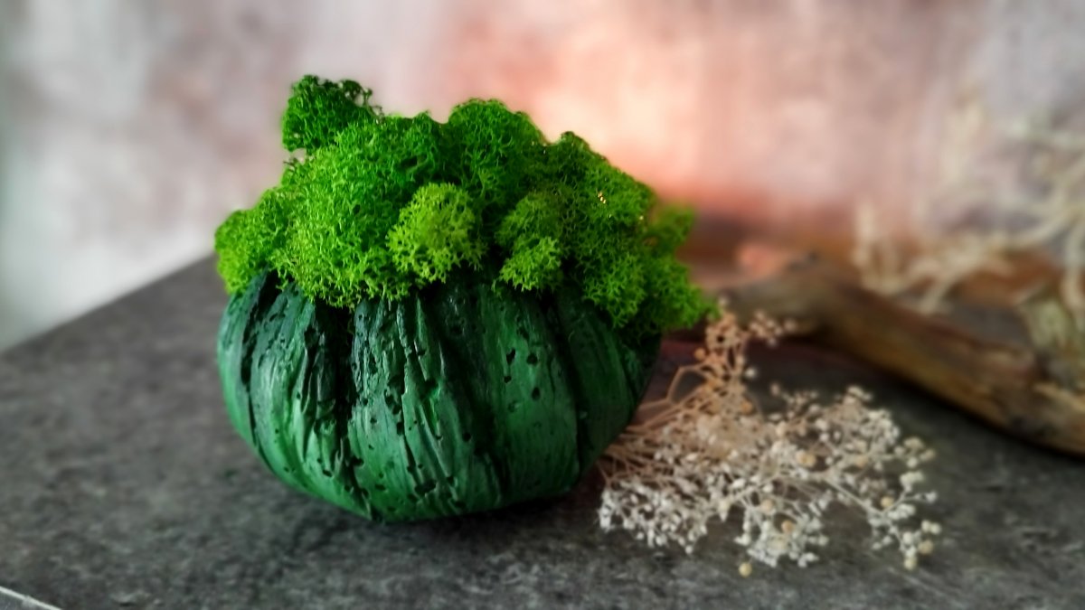 Betonová skořepinka s mechem