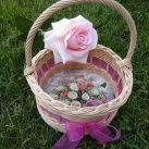 Košík růží